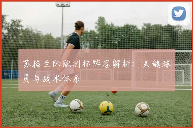 苏格兰队欧洲杯阵容解析：关键球员与战术体系