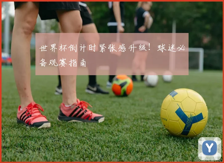 世界杯倒计时紧张感升级！球迷必备观赛指南
