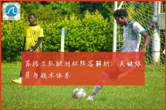 苏格兰队欧洲杯阵容解析：关键球员与战术体系